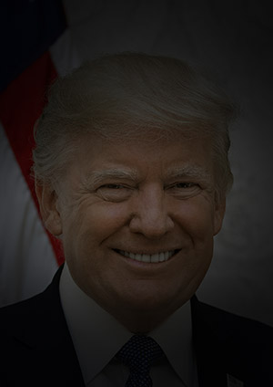 Whirlwind
        [wpbb-else]
         /wp-content/uploads/2019/10/placeholder-thumb-300x424-2.jpg
     [/wpbb-if]   
    