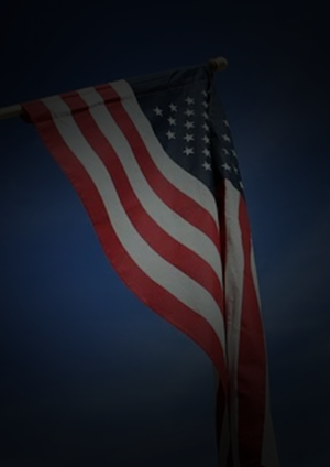 Rigged: America, Russia and 100 Years of Covert Electoral Interference
        [wpbb-else]
         /wp-content/uploads/2019/10/placeholder-thumb-300x424-2.jpg
     [/wpbb-if]   
    